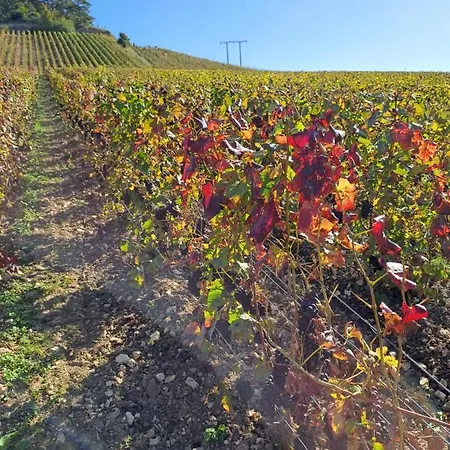 Le Val D Arlette Apartamento